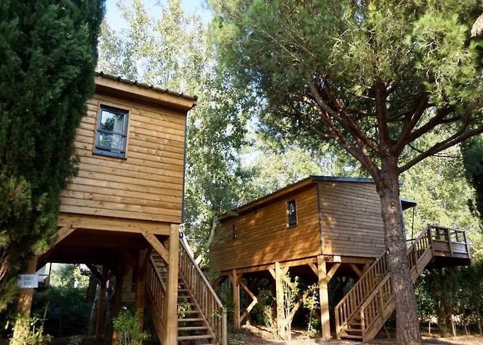 Camping Ecolodge L'etoile D'argens Officiel Saint Aygulf