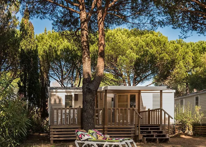 Ecolodge L'etoile D'argens Officiel Camping