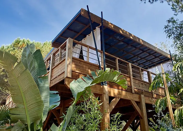 Camping Ecolodge L'etoile D'argens Officiel