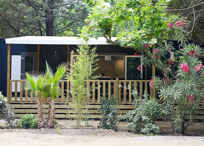 Ecolodge L'etoile D'argens Officiel Camping Saint Aygulf